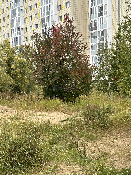 продам двух комнатную квартиру