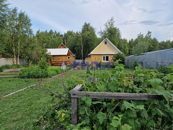 фото продажа дачного участка с домом