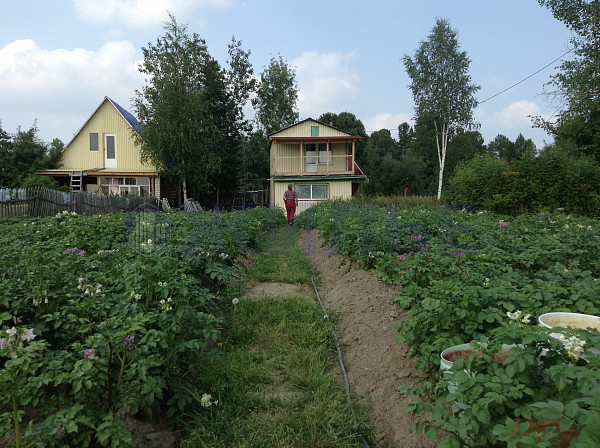 фото продажа дачи